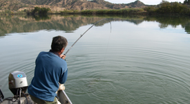 catfish fishing holiday 2